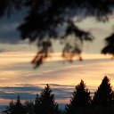 ���� �����, �����, 56 ��� - ��������� 15 �������� 2020 � ������ ���� ����������