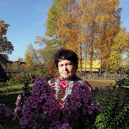 �����, �����-���������, 79 ���