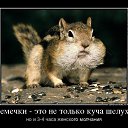 ���� �����, ���������, 41 ��� - ��������� 23 �������� 2020 � ������ ������ ��������