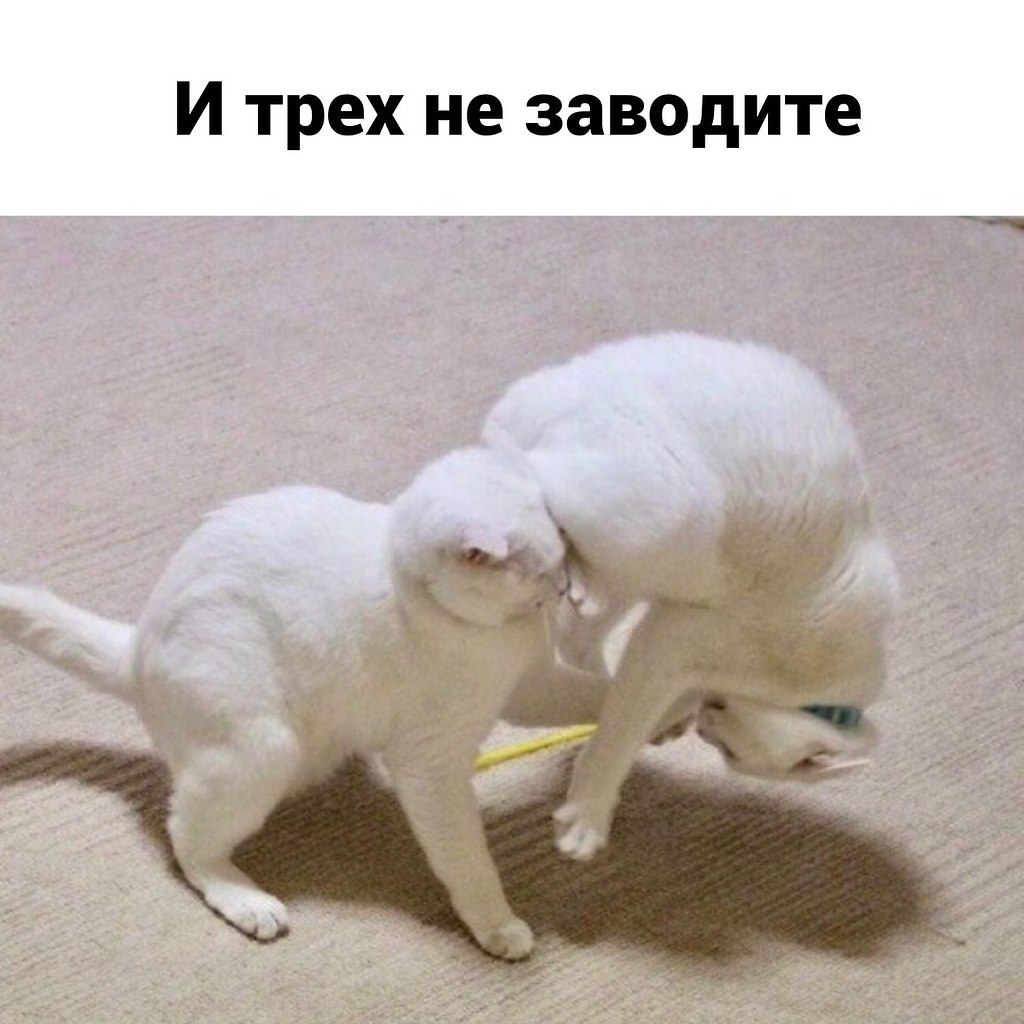  . - 2