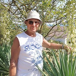 ��������, ��������, 73 ����