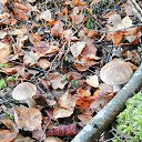 ���� �������, �����-���������, 65 ��� - ��������� 4 ������� 2020 � ������ �3 ������� 2020�