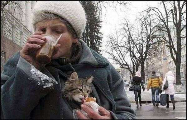 Красота заключается не в том, чтобы иметь красивое лицо. А в том, чтобы иметь красивые мысли, ...
