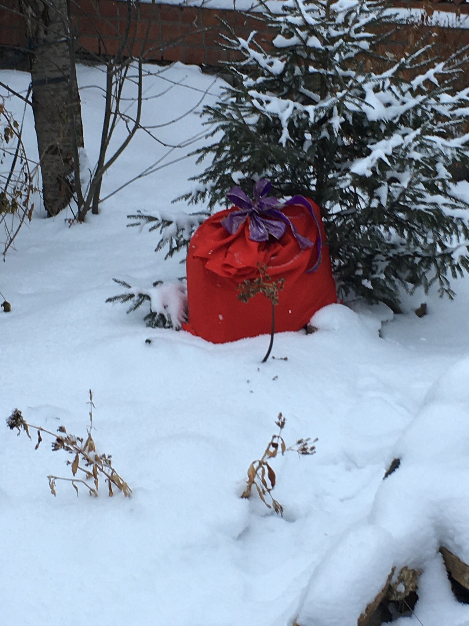 ...    ... !..     !..) - 2