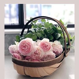���� ������, ����������� - ��������� 23 �������� 2020