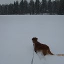 ����� � ��� �� ���� ������ ����� � ��� �����! ����� ������ � ������� �� ����... :-) �����, ��� ����� 3 �� �� ����. �� ������� ������ � ������ ������...�