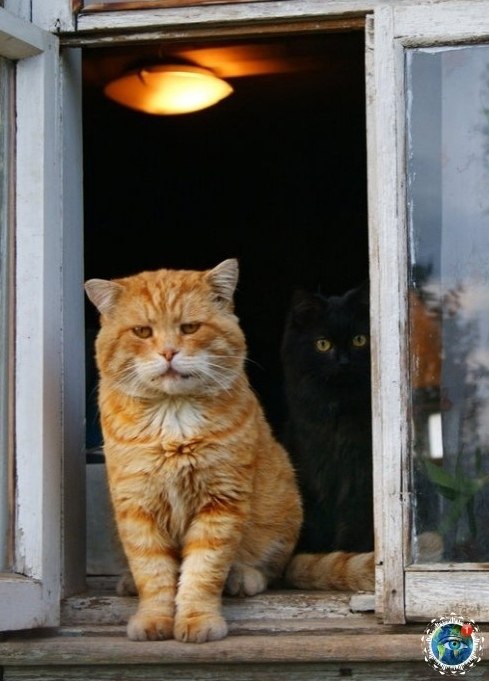 �epe�e�c��e �o��, �a� o�������� ��� ����o��.������� - 6