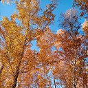 ������ ���� � ������ �������� ����. �� ������� ���� ����������