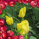 ���� �����, ��� - ��������� 20 ������� 2020 � ������ ���� ����������