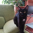 ���� ������� ������ � ����,� ������ ����� �� ���� �����,� ��� ��������, � ������� ��������,������� ���� ������ �����.������� � ���� ���� �����,� ������ ����������� ������.�� ������, ��� ���� �������,��������� ��� ����� � �������.���� ����� ����� ����� �����,�������� ���� �� ���� �� ����.�� ���, ����� �������� ���-��,����� � �����, ��� ������ �����.��� ����� � ����� � ����� ����,Ÿ ����������� ���� �� �������,������ �� ������� ������,������� ������ �� ������� ��������.�� �������, ��� ����� ���� �� ������� �������� ���� �� ������!!!�