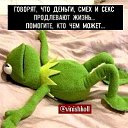 ���� ����, ��������, 63 ���� - ��������� 11 ������� 2020 � ������ ���� ����������