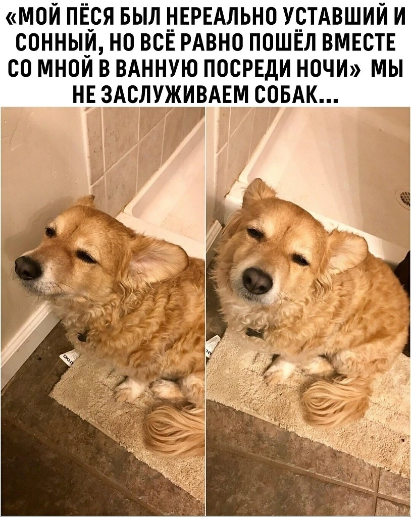   .