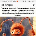 ���� �����, �������� - ��������� 7 �������� 2020 � ������ ���� ����������