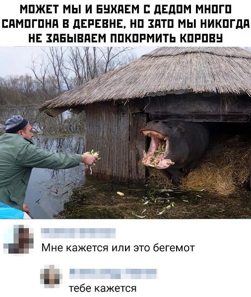 Главное, чтоб они не вспомнили, что корову ещё доить нужно