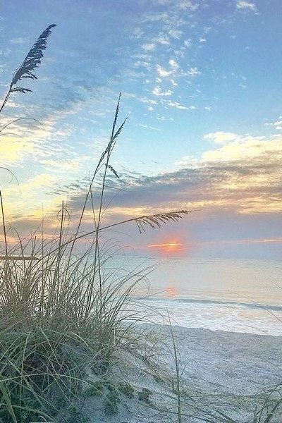 �o�� - ��o ������, ��o �o��� ��������� � ���o���o�. ���� ���� - 2