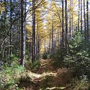 ���� �������, �����������, 53 ���� - ��������� 13 ������� 2020 � ������ ���� ����������