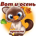 ���� ������, ������, 56 ��� - ��������� 1 �������� 2020 � ������ ���� ����������