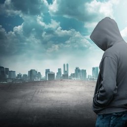 ����, ���������, 33 ����