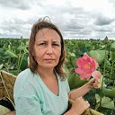  , -, 50  -  14  2020    