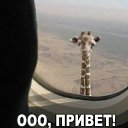  ,  -  7  2020   07.12.2020...   ..