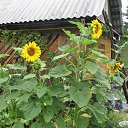 ��� ������ �� ������� ���� ���� ������