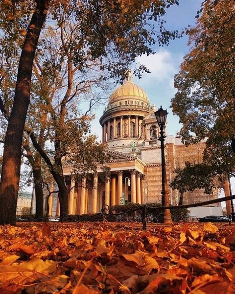    .shatornaya