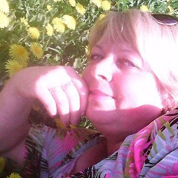 ����, ������, 54 ����