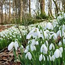 ���� ������, ��������� - ��������� 23 ����� 2021 � ������ ���� ����������