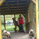 ���� �����, �����������, 36 ��� - ��������� 29 ������� 2020 � ������ ���� ����������