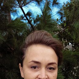 ����, �����������, 46 ���