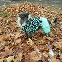 �����. ��� ���������. �� ������� ���� ����������