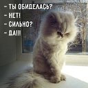 ���� �������, ����� - ��������� 27 ������� 2020 � ������ ������ ��������