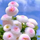 ���� ���������, ���� - ��������� 31 ������� 2020 � ������ ���� ����������