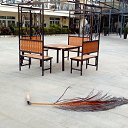 �������� � �����. �� ������� ���� ������� ������� � �������