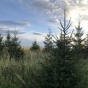 � ������ �� ������� �������� ����������� �� �����-������������� ��������� ������ 2020�