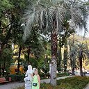 ���� �������, ���������� - ��������� 12 �������� 2020 � ������ ���� ����������