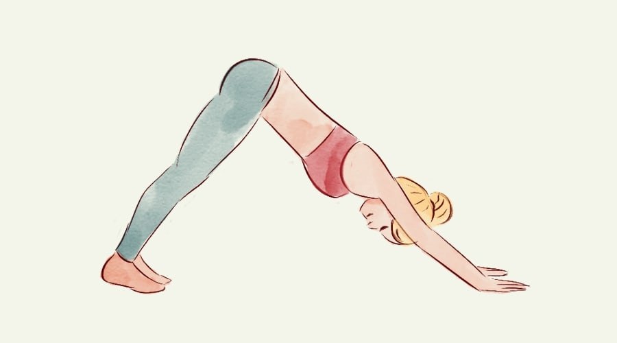   : 8     .     ... - 3