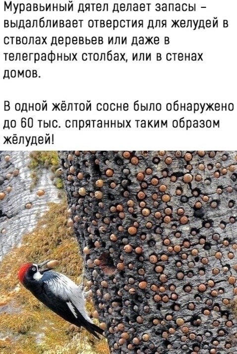 LIFE -  - 16  2020  18:31