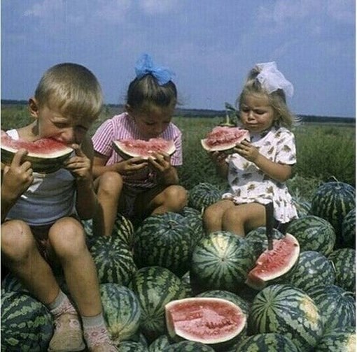      ..    ..        ... - 7