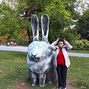 ���� ������, ������������, 72 ���� - ��������� 17 ������� 2020 � ������ ���� ����������