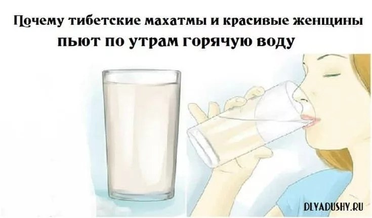 Выпил стакан воды и сразу в туалет причины