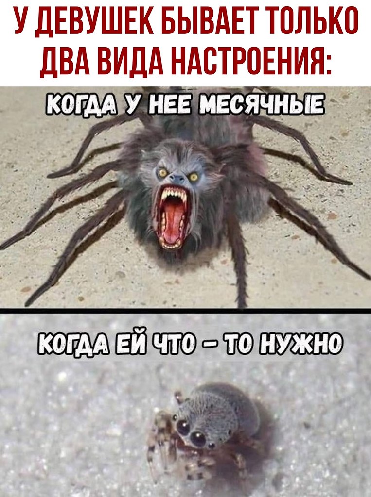  - 7  2020  19:29