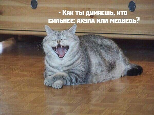      - 8  2021  21:20 - 3