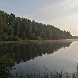 ���� ������, ������ - ��������� 22 ������� 2020