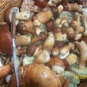 �����, ����� �������� �� ������ �������. �� ������� ���� ����������