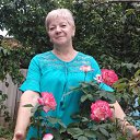 ���� ����, ���������, 66 ��� - ��������� 24 ������� 2020 � ������ ���� ����������