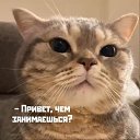 ���� Andrey, �����, 55 ��� - ��������� 15 ������ 2020 � ������ ������ �����,�������.�