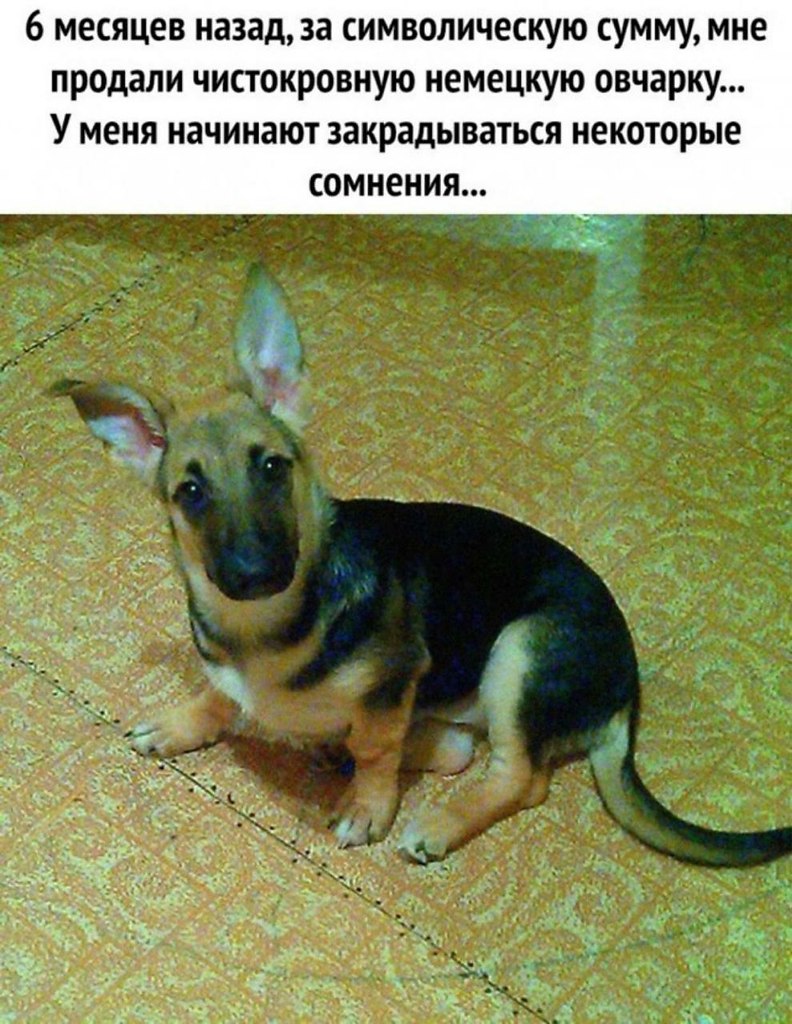 �������� - 9 ��� 2021 � 18:13