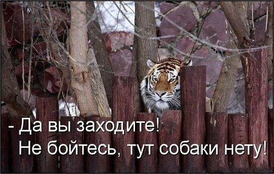  - 30  2021  02:47