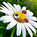 ���� �������, ������ - ��������� 25 ������ 2022